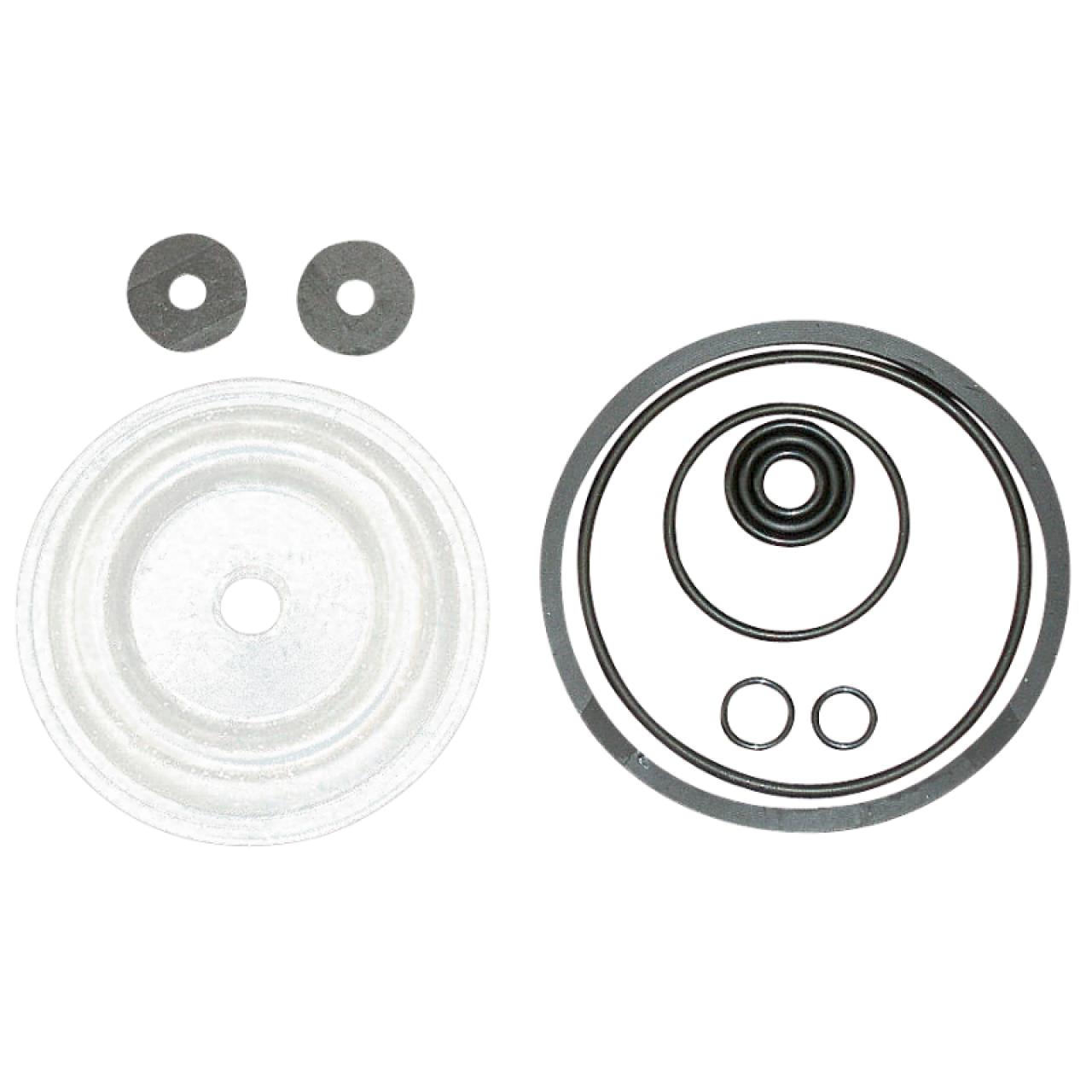 Viton-Dichtungssatz (473D, 475)
