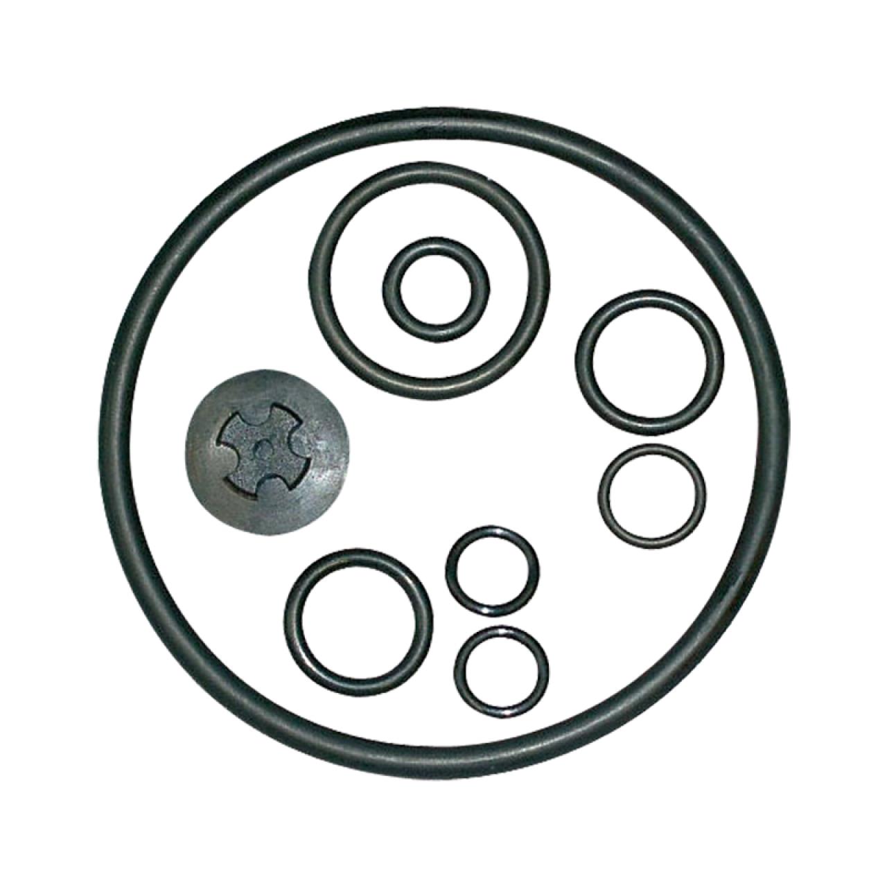 Viton-Dichtungssatz (425, 435)